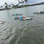 SUP Yoga: Paddleboard Yoga Experience in Nature - Wildlife sightings: a bonus