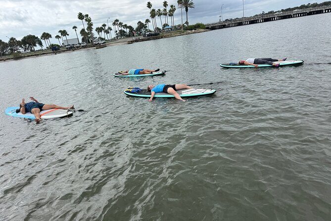 SUP Yoga: Paddleboard Yoga Experience in Nature - Wildlife sightings: a bonus