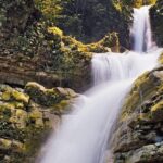 Surrealist Garden of Edward James, Castle of Health and Xilitla Nativity - Transportation, Timing, and Group Size