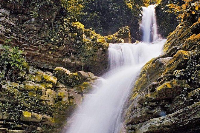 Surrealist Garden of Edward James, Castle of Health and Xilitla Nativity - Transportation, Timing, and Group Size
