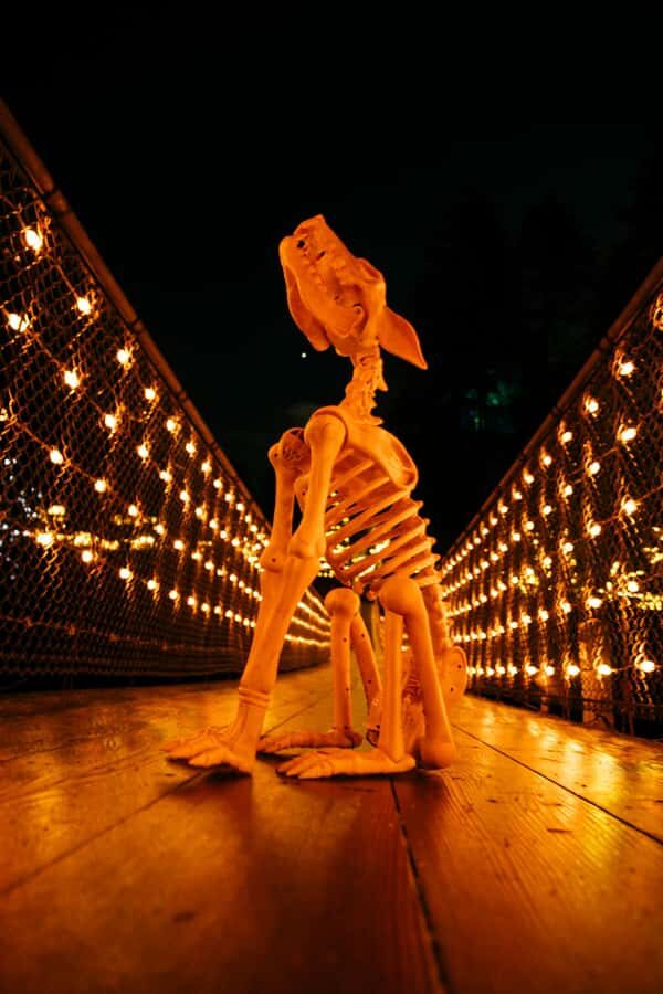 Suspended at Capilano Bridge A 7-Stop Halloween Private Tour - Authentic Traveler Feedback