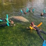 Swim with Manatees Private Tour - The Gear and Comfort