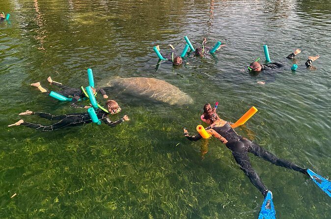 Swim with Manatees Private Tour - The Gear and Comfort