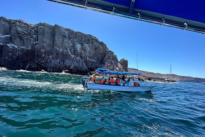 Swim with Sea Lions in La Paz - FAQ