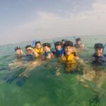 Swim with sea turtles - FAQ