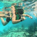 Swim with Turtles in Akumal + GoPro Photo Session - The Marine Environment