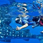 Swim with Whale Shark from Cancun - The Experience: From Departure to Return