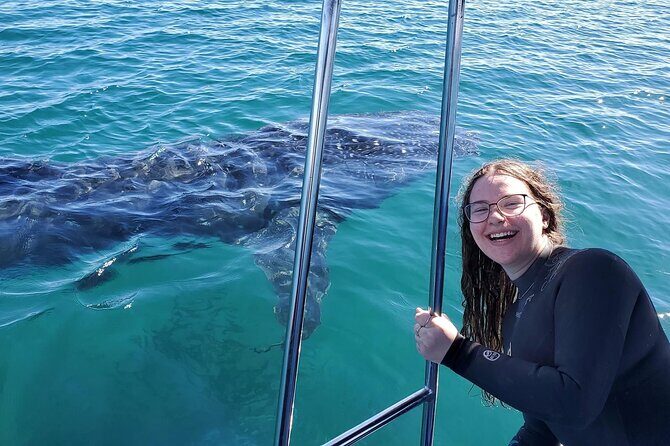 Swim with Whale Sharks #1 MUST DO IN LA PAZ - FAQs