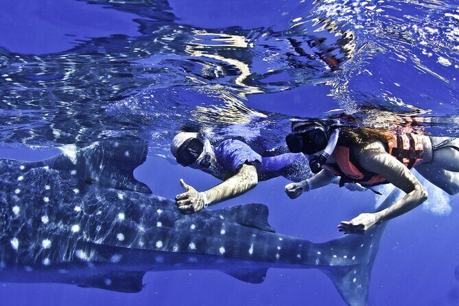 Swim with Whale Sharks & Isla Mujeres - Relaxing at Isla Mujeres