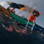Swim with whale sharks on a private tour - What Do Travelers Say?