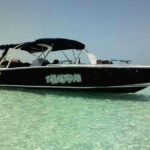 Swim with Whale Sharks Private tour from Playa del Carmen - Authentic Experiences and What Makes It Stand Out