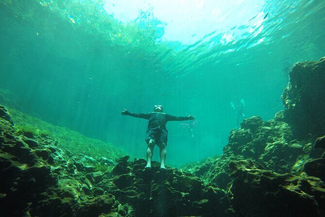 Swimming with turtles, 2 cenotes & gopro - What We Loved About This Tour