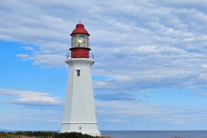Sydney City & Coastline Tour - An In-Depth Look at the Sydney City & Coastline Tour