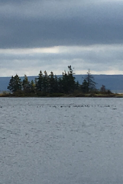 Sydney: Highland Village & Bell Museum Cruise Excursion - The Practicalities: What to Know