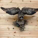 Tablet Tour in Wildlife Gallery - Practical Tips for Visitors