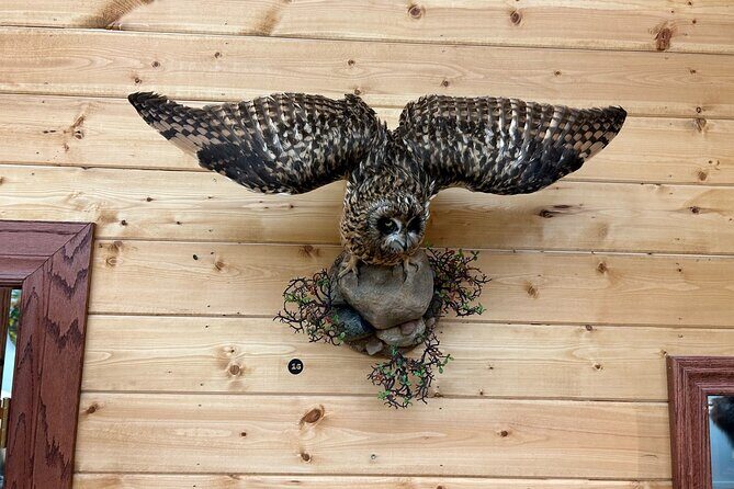 Tablet Tour in Wildlife Gallery - Practical Tips for Visitors