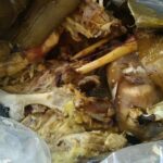 Taco Tour - Who Should Consider This Tour?