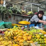 Tacos 101 Mexico City Taco Experience - A Detailed Look at the Tacos 101 Experience