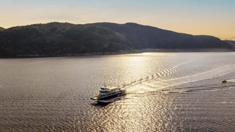 Tadoussac/Charlevoix: Whale & Fjord Morning or Twilight Tour - Who Should Consider This Tour?