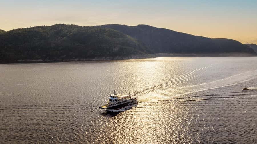 Tadoussac/Charlevoix: Whale & Fjord Morning or Twilight Tour - Who Should Consider This Tour?