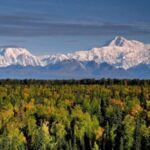 Talkeetna: Denali Zipline Tours - What to Expect on the Tour