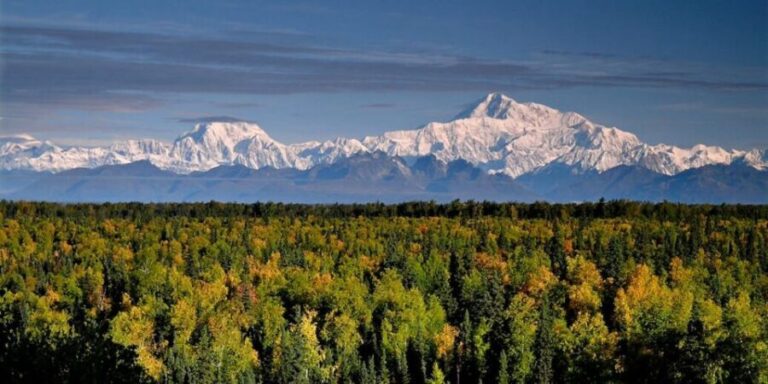 Talkeetna: Denali Zipline Tours - What to Expect on the Tour