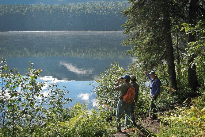 Talkeetna Lakes Hike Guided by a Naturalist - Why This Tour Provides Great Value