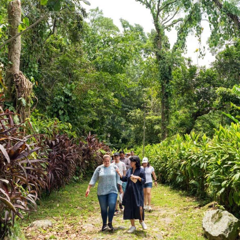 Tapachula: Argovia Coffee, Flowers, and Legacy Tour - Breakfast with a View: A Taste of Local Flavors