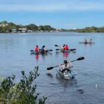 Tarpon Springs: Clear Kayak Eco-Tour with Manatee Viewing - Wildlife Encounters