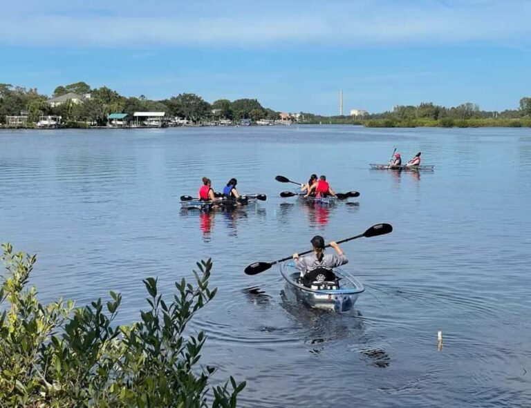 Tarpon Springs: Clear Kayak Eco-Tour with Manatee Viewing - Wildlife Encounters