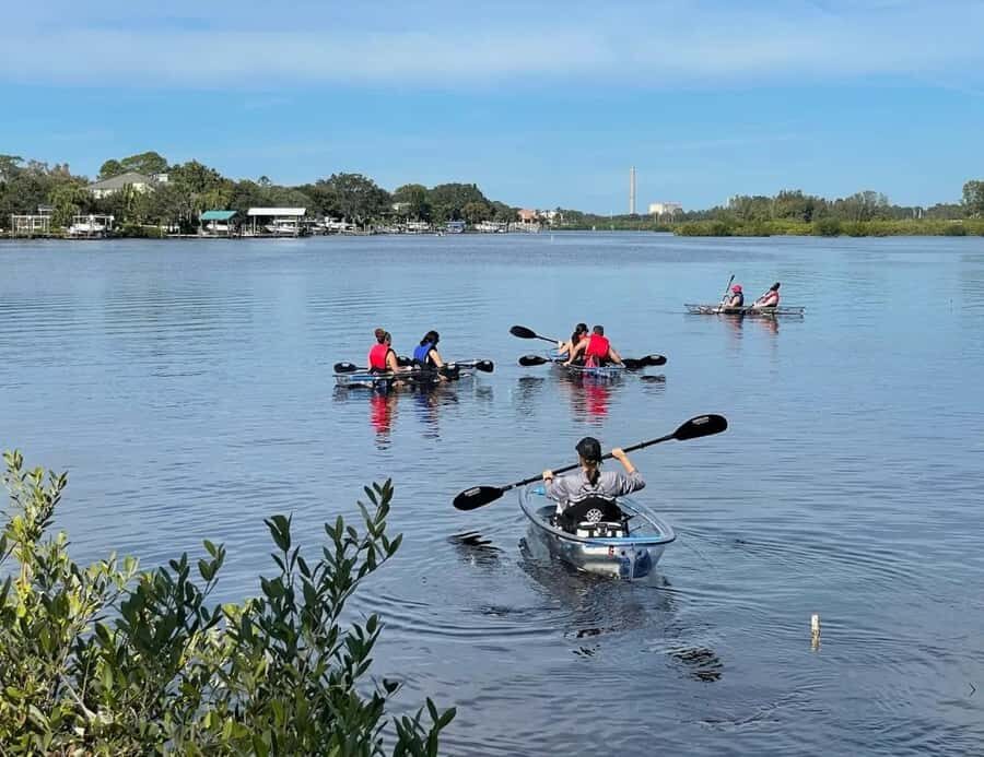 Tarpon Springs: Clear Kayak Eco-Tour with Manatee Viewing - Wildlife Encounters