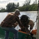 Tarpon Springs: Sponge Dock Stroll - Who Should Consider This Tour?