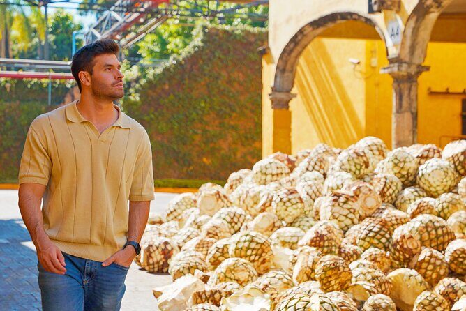 Tasted Chocolate - What Makes This Tour Special