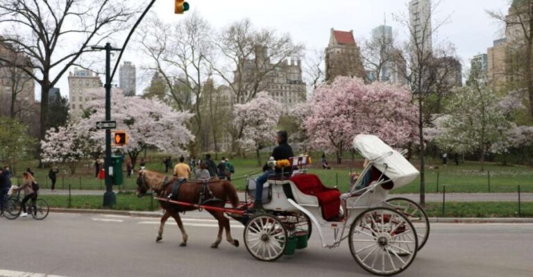 Tavern on the Green PickUp&DropOff With Horse Carriage Ride - Who Should Consider This Experience?