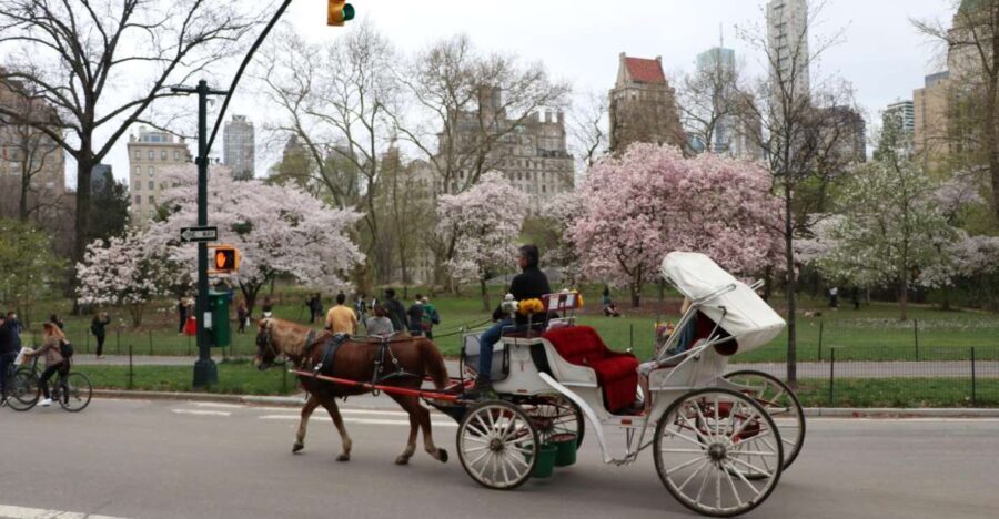 Tavern on the Green PickUp&DropOff With Horse Carriage Ride - Who Should Consider This Experience?