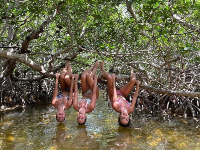 Tavernier, FL: Mangrove and Manatees Guided Kayak Eco Tour - Who Will Enjoy This Tour?