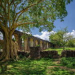 Taxco: 16th Century Mining Beneficiation Estate Tour - Exploring Taxco’s Mining Heritage