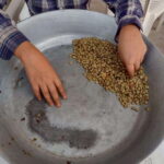 Taxco: Organic Coffee Garden Experience - The Itinerary in Detail