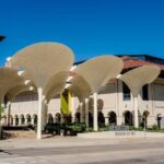 Tea Around Town Austin: Elegant Tea Bus Tour and Treats - The Food, Teas, and Live Music