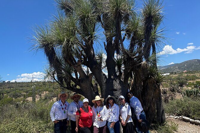 Tehucan Day Tour and Biosphere Reserve - A Deep Dive into the Experience