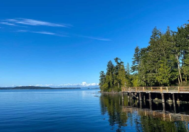 Telegraph Cove: 2-Hour Day or Evening Kayaking Tour - Sunset Kayaking: A Magical Twist