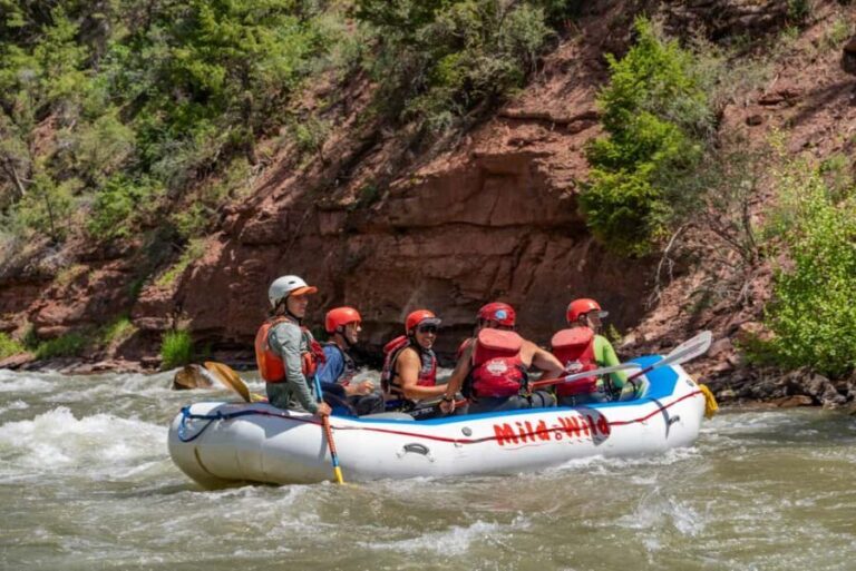 Telluride 1 Day Rafting Trip with Lunch - San Miguel River - What to Expect: The Paddling and the Views