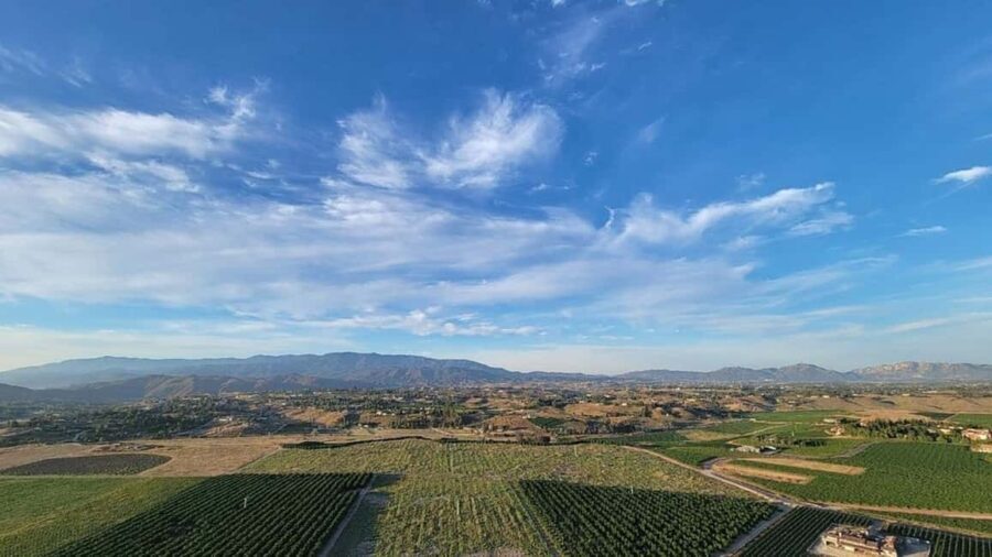 Temecula Valley: Sunrise Hot Air Balloon Ride with Champagne - The Wines and Local Tastes