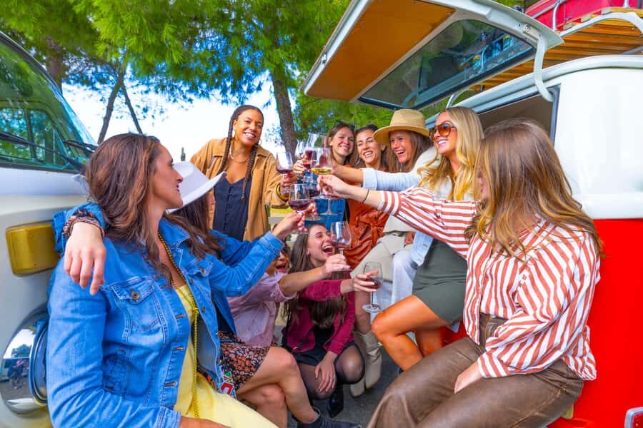 Temecula: VW Bus Wine Tour with Tastings - Cruising Through Temecula in Classic Style