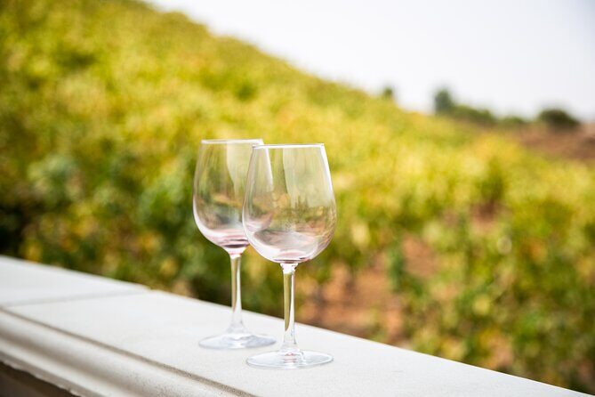 Temecula Wine Tour from Orange County - The Itinerary Breakdown: What to Expect