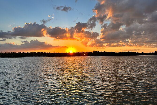 Ten Thousand Islands Sunset, Beach and Eco Tour - Who Will Love This Tour?