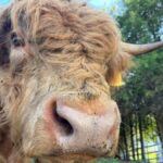 Tennessee: Cedar Pond Farms Floral Jewelry Workshop - Who Will Love It?