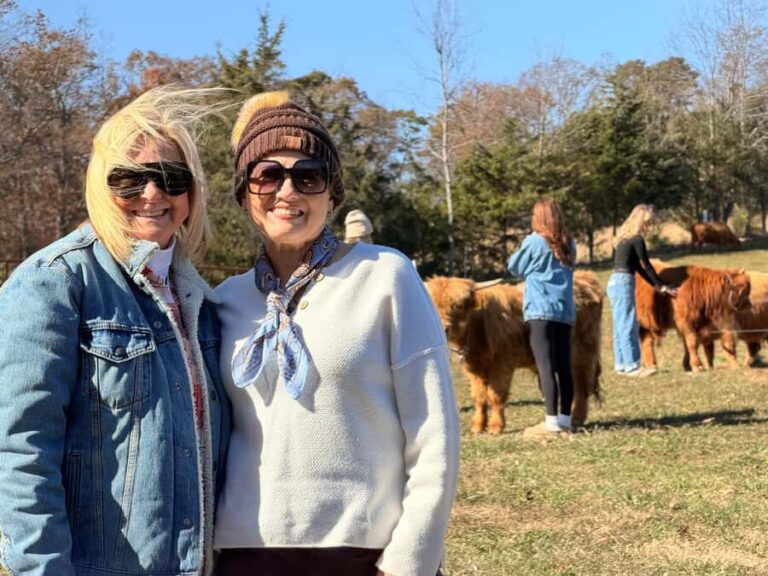 Tennessee: Fluffy Highland Cow Experience + Gelato & Coffee - A Close Look at the Experience