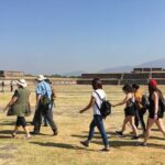 Teotihuacan Archeological Site Afternoon Private Tour - What You Can Expect: A Detailed Breakdown
