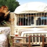 Teotihuacan: Entrance to Animal Kingdom Park; Adventure & Nature - What to Expect on the Day